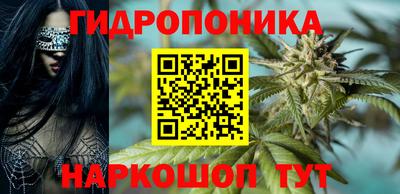 соль ск Дубна