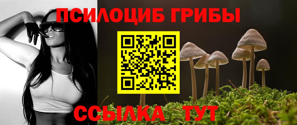Псилоцибиновые грибы Psilocybine cubensis Муром
